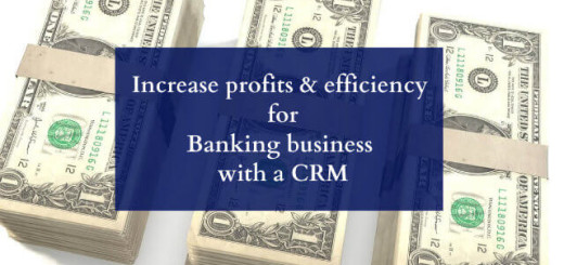 Increase Profits And Efficiency For Banking Business With A CRM